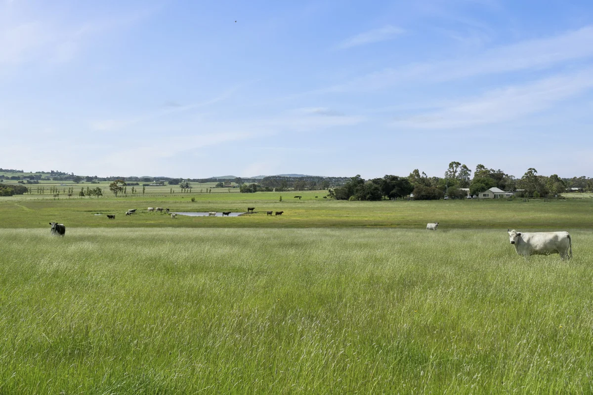 Additional image 6 of 45 Holmchase Road, Elliminyt VIC 3250