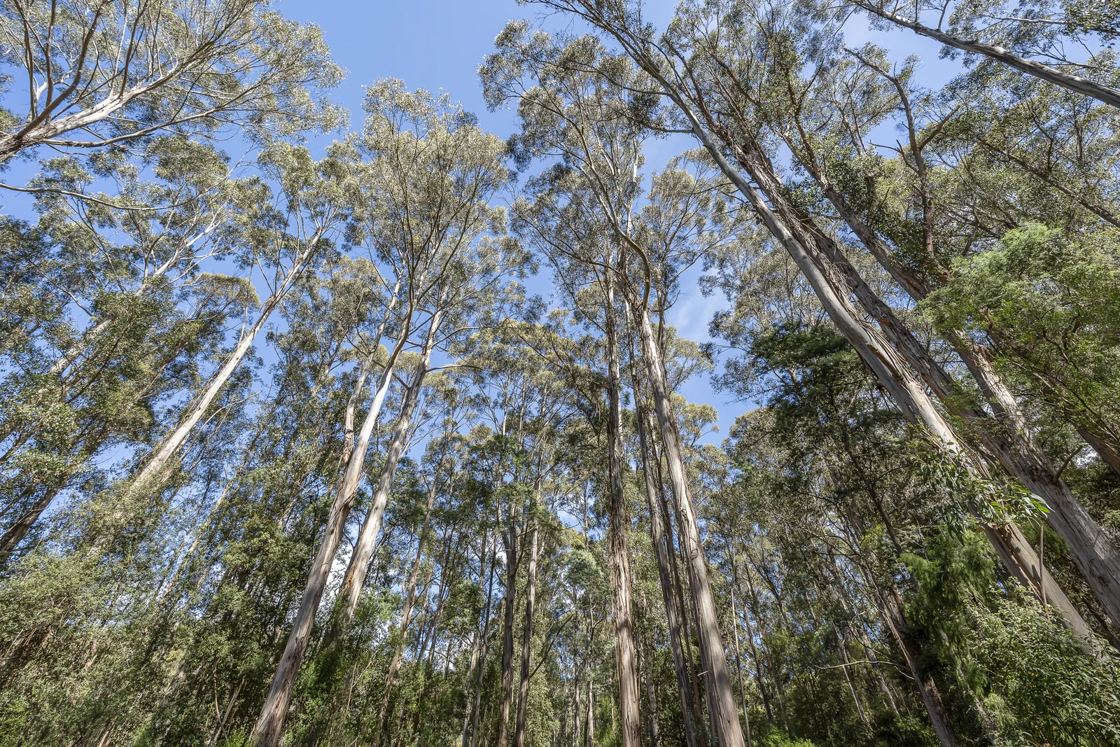 Additional image 11 of 1 Millers Road, Middleton TAS 7163