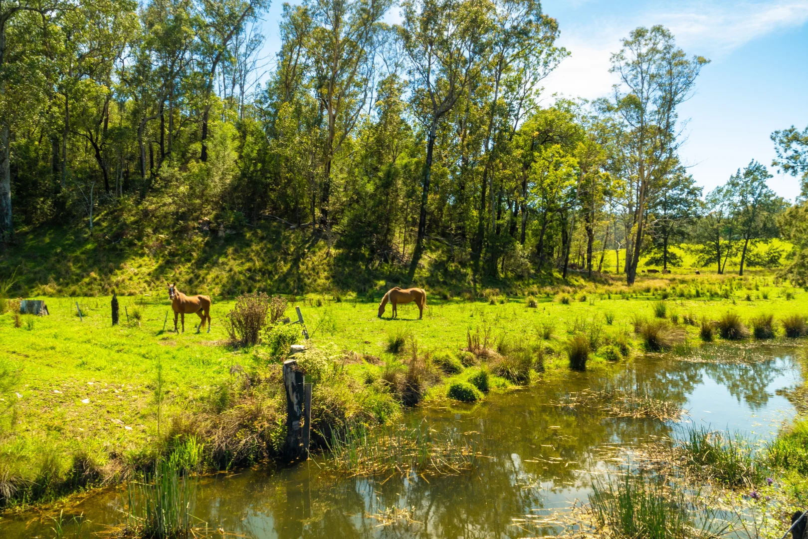 Additional image 27 of 18 Waincourt Road, Eurobodalla NSW 2545