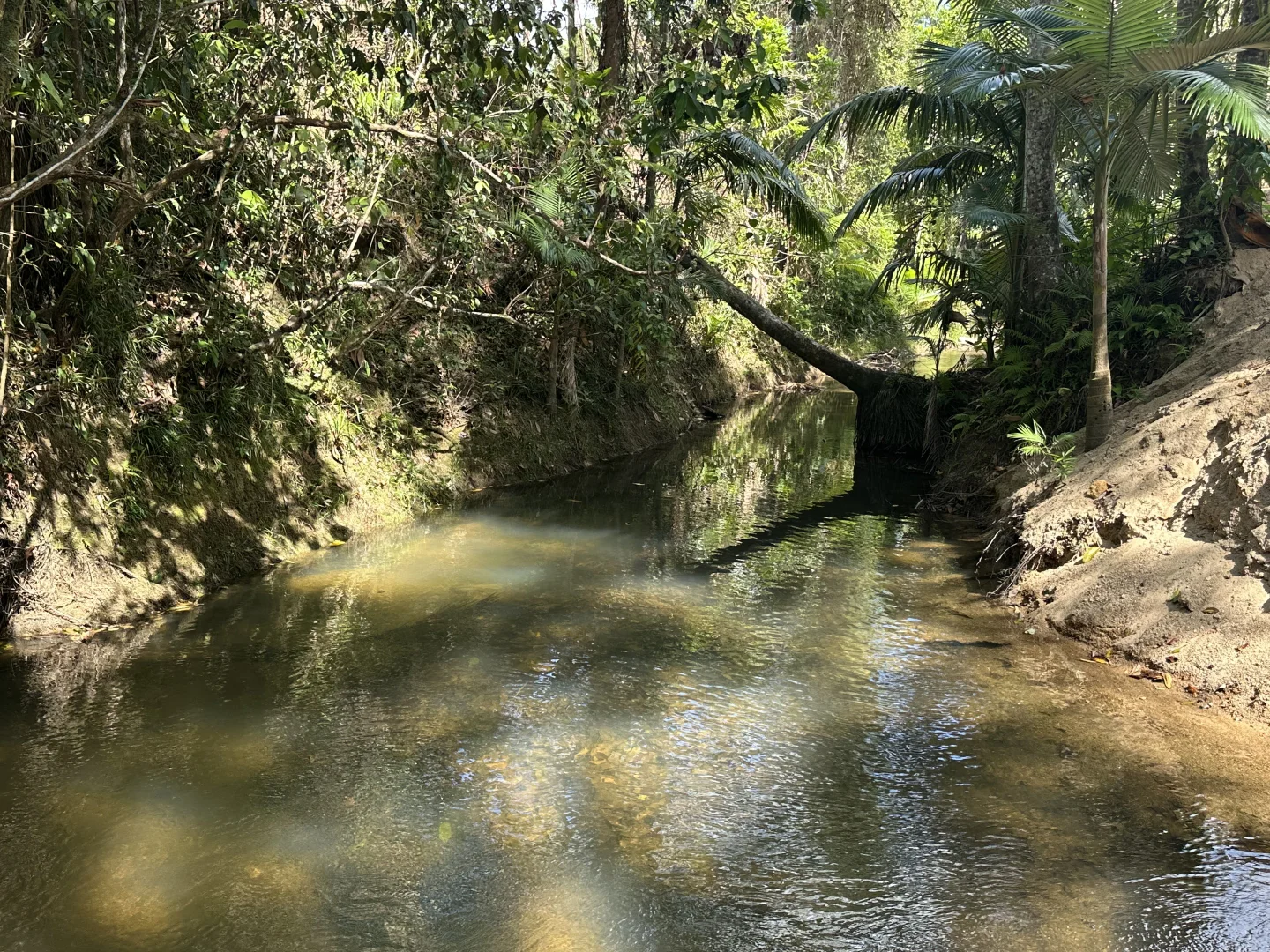 Additional image 11 of Feluga QLD 4854