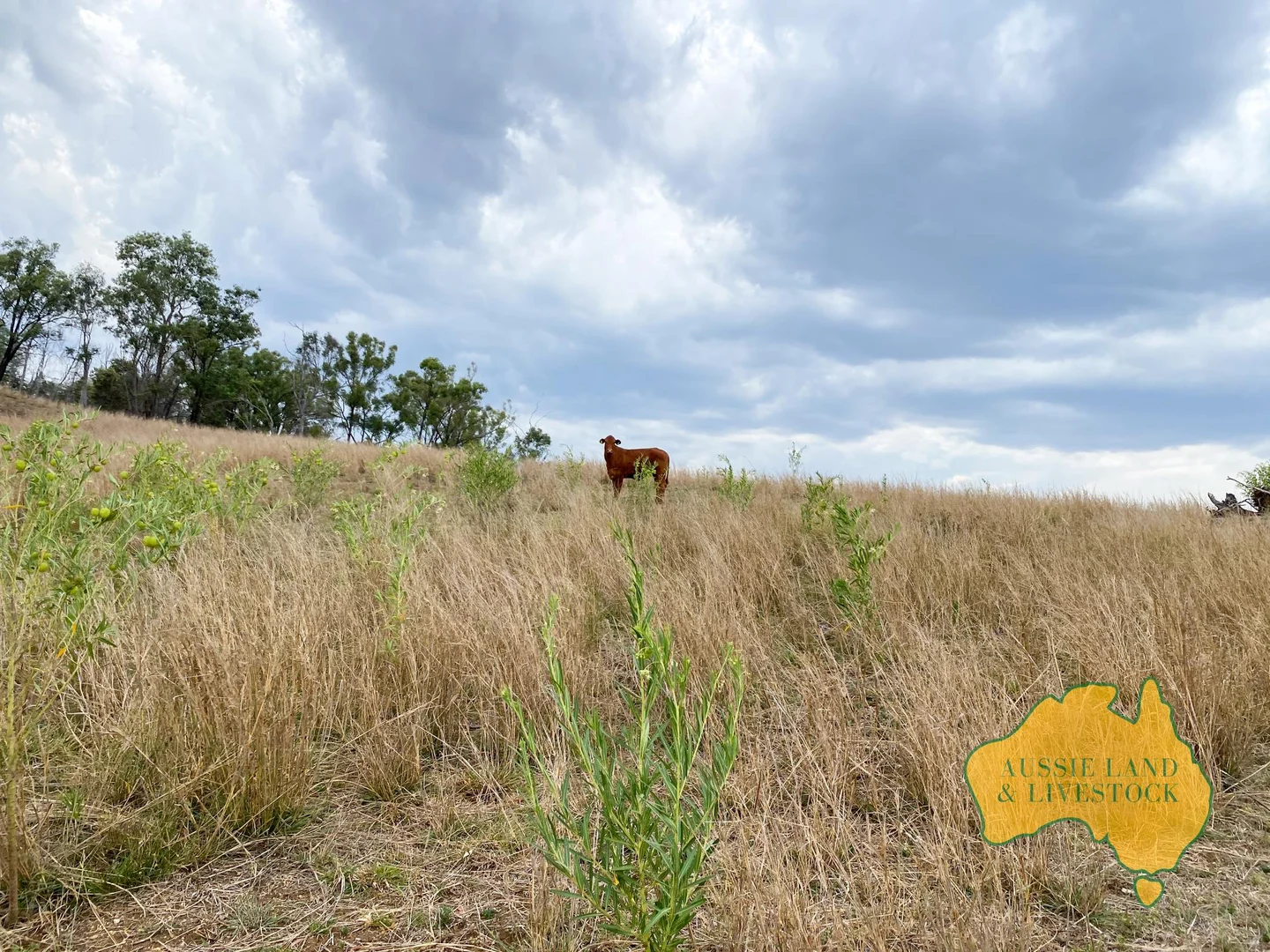 Additional image 19 of 95 Monto Mount Perry Road, Tellebang QLD 4630