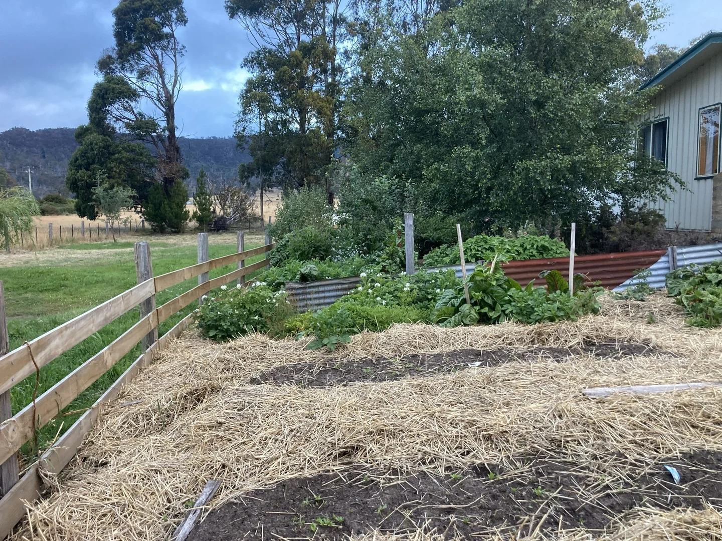 Additional image 17 of 7 Fleming Street, Fingal TAS 7214