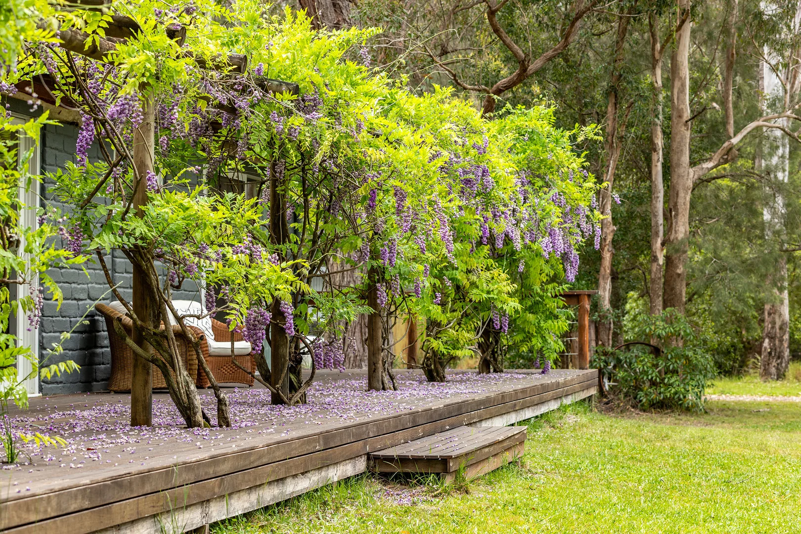 Additional image 28 of 1318 Wattley Hill Road, Topi Topi NSW 2423