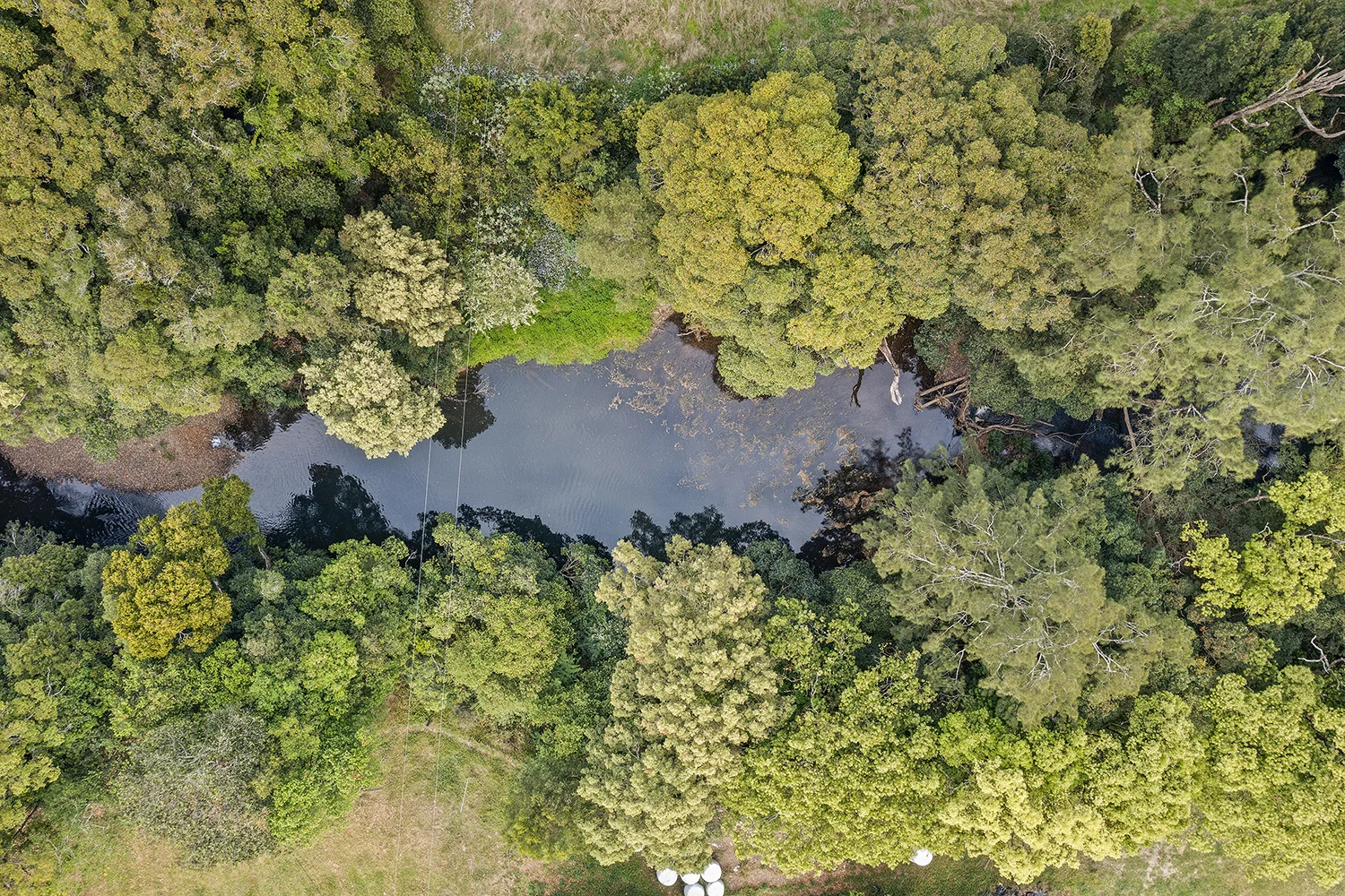 Additional image 11 of 620A Upper Orara Road, Upper Orara NSW 2450