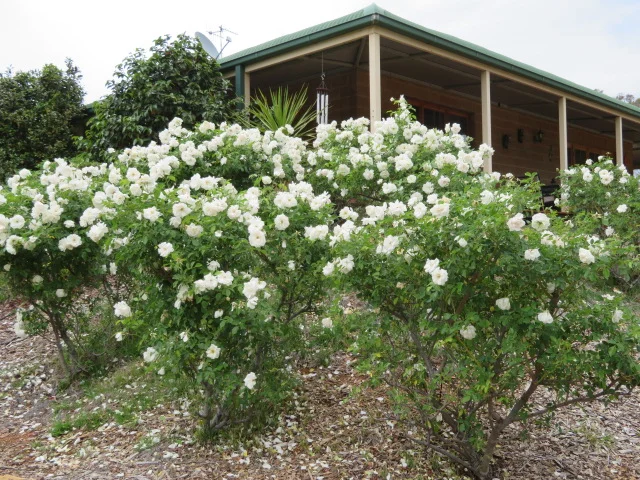 Additional image 27 of 48 Carrington Lane, Coonabarabran NSW 2357