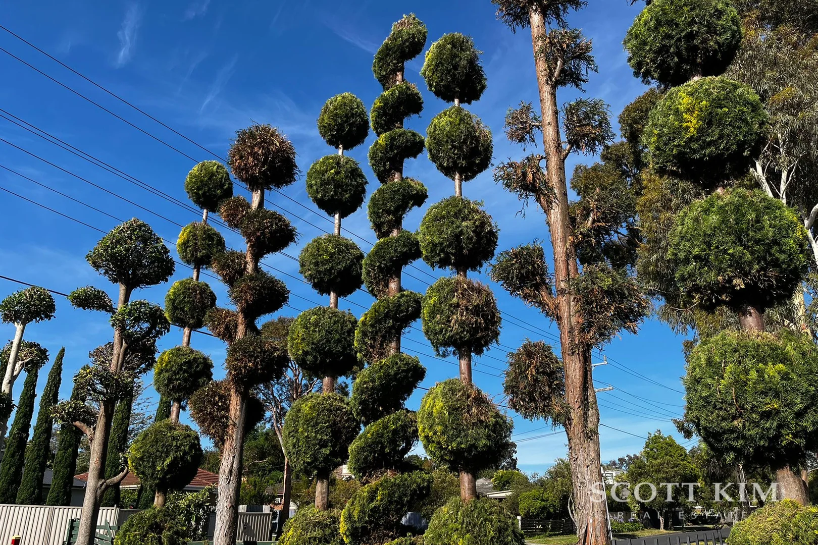 Additional image 10 of 21 Sheppard Drive, Scoresby VIC 3179