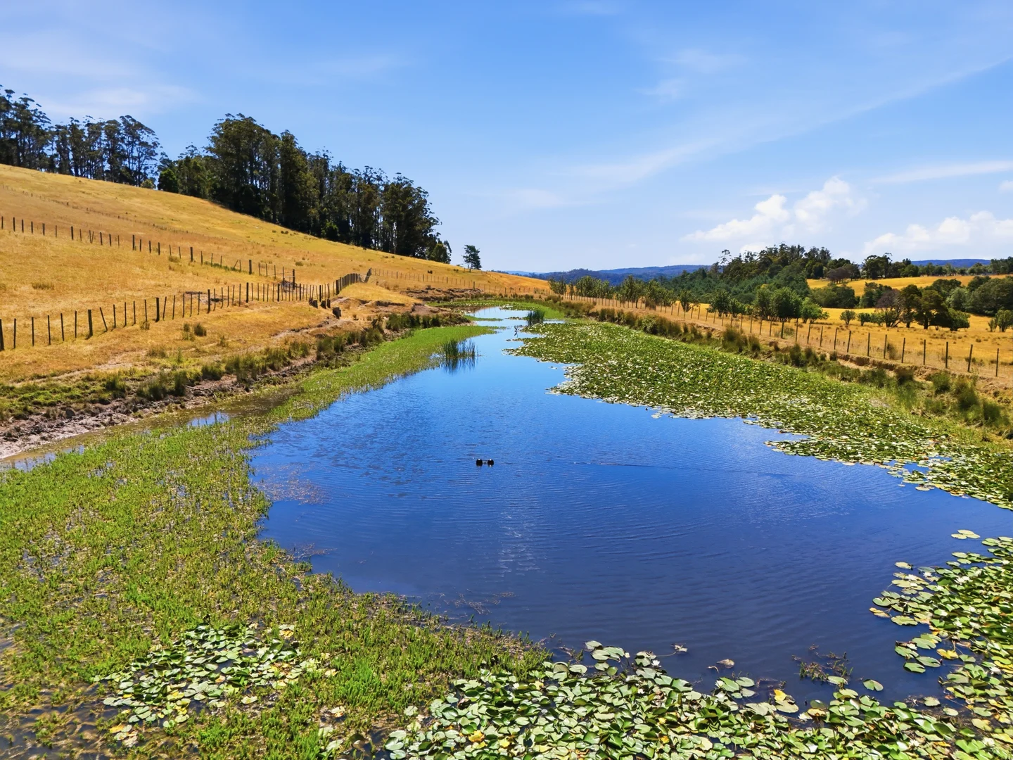 Additional image 9 of Lot 2/107 Lalla Road, Lilydale TAS 7268