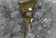 Additional image 19 of The Dell, Royston SG8