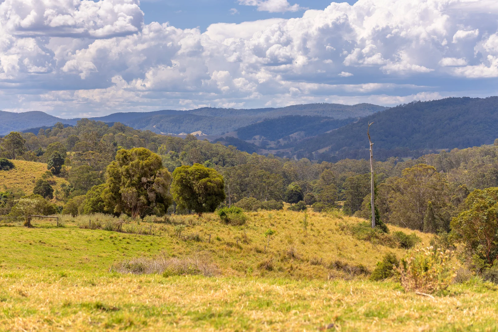 Additional image 25 of 129 Days Road, Belbora NSW 2422
