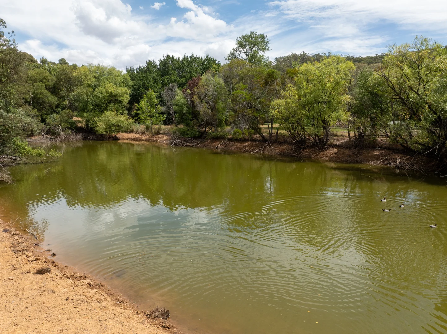 Additional image 7 of 999 Lake Canobolas Road, Orange NSW 2800