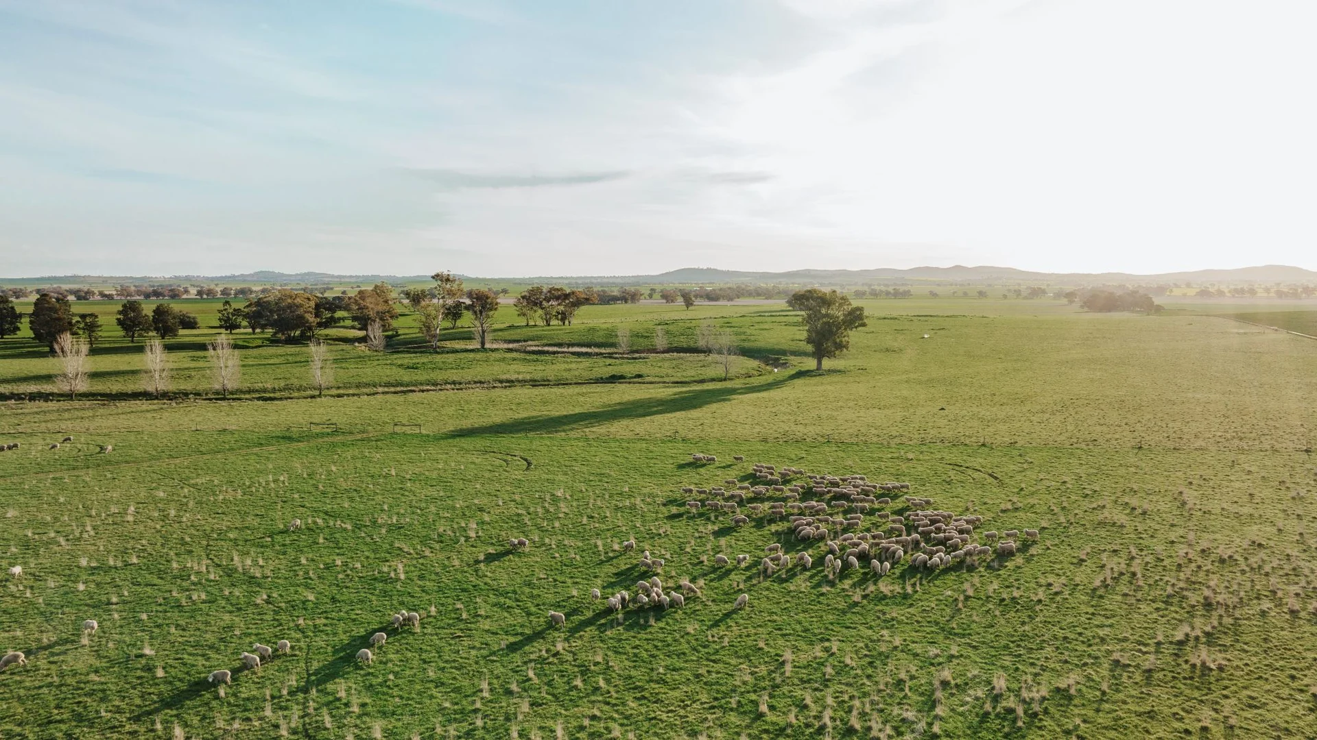 Additional image 10 of 1679 Stockinbingal Road, Cootamundra NSW 2590