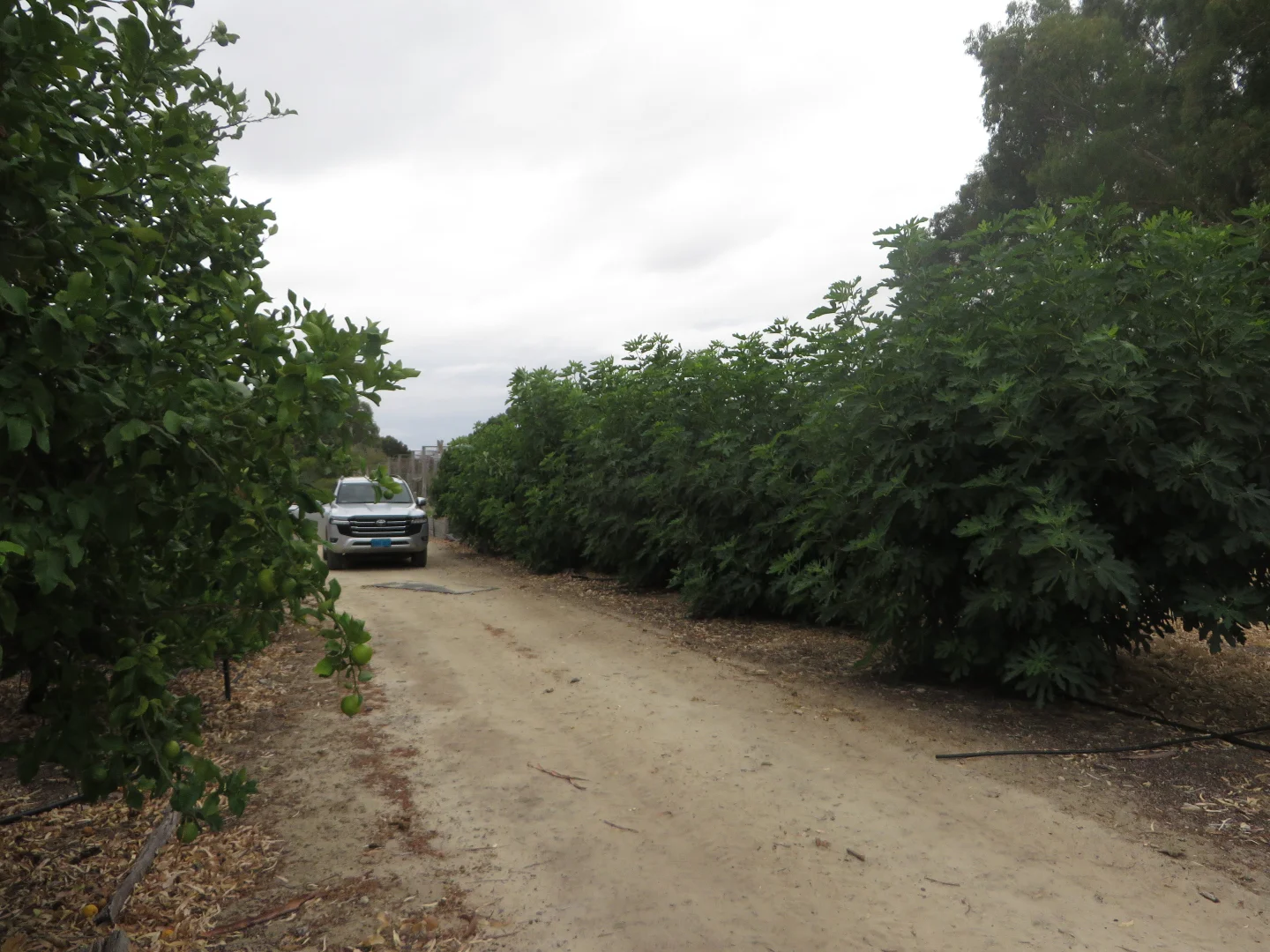 Additional image 14 of Alexander Road, Waroona WA 6215