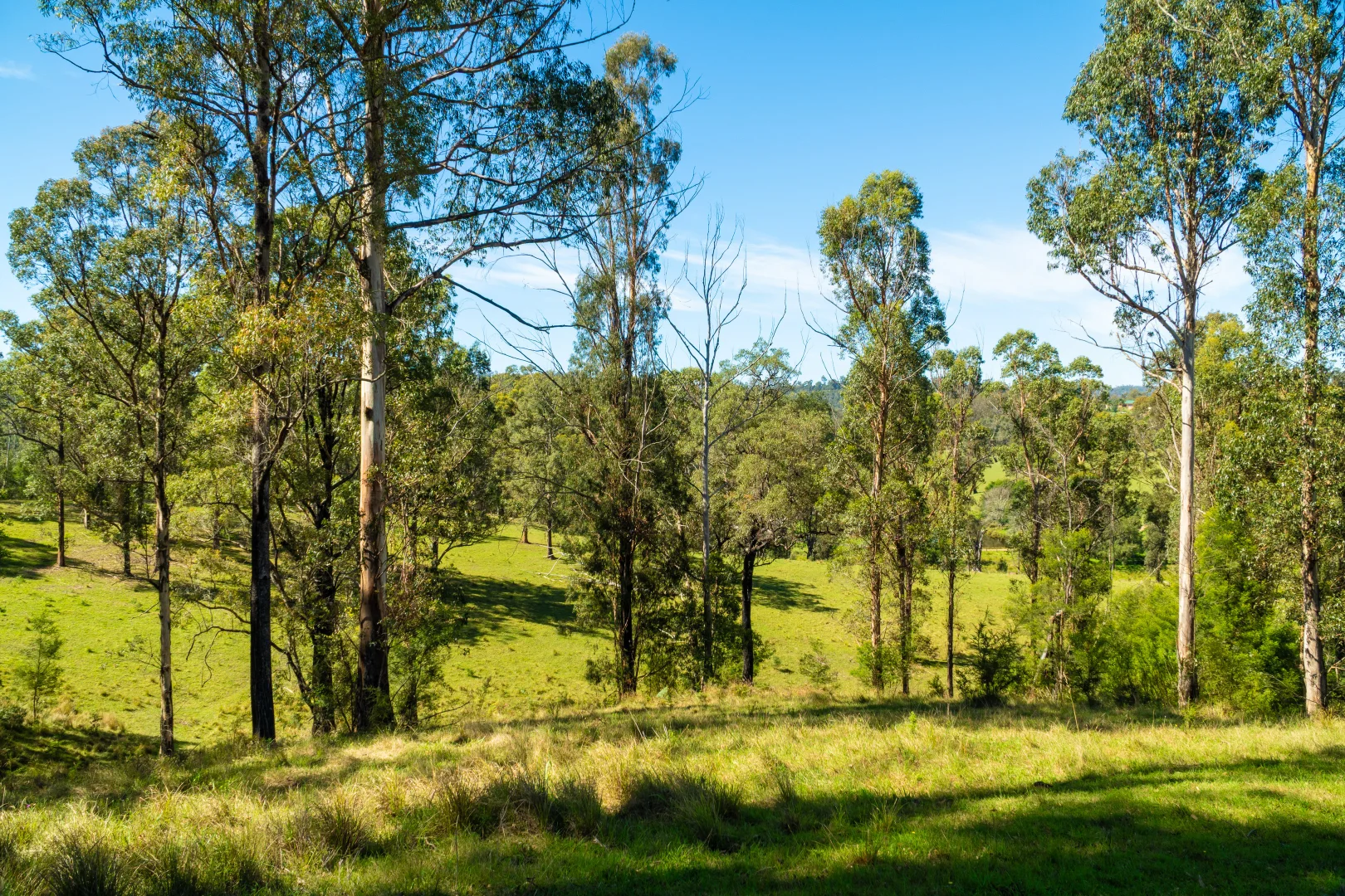 Additional image 26 of 18 Waincourt Road, Eurobodalla NSW 2545