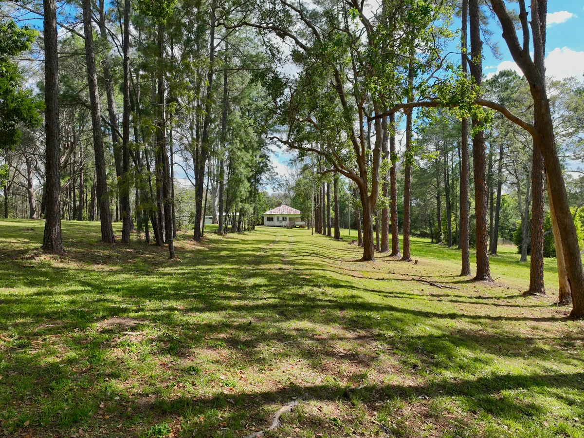 Additional image 17 of 2926 & 2933 Sextonville Road, Woolners Arm NSW 2470