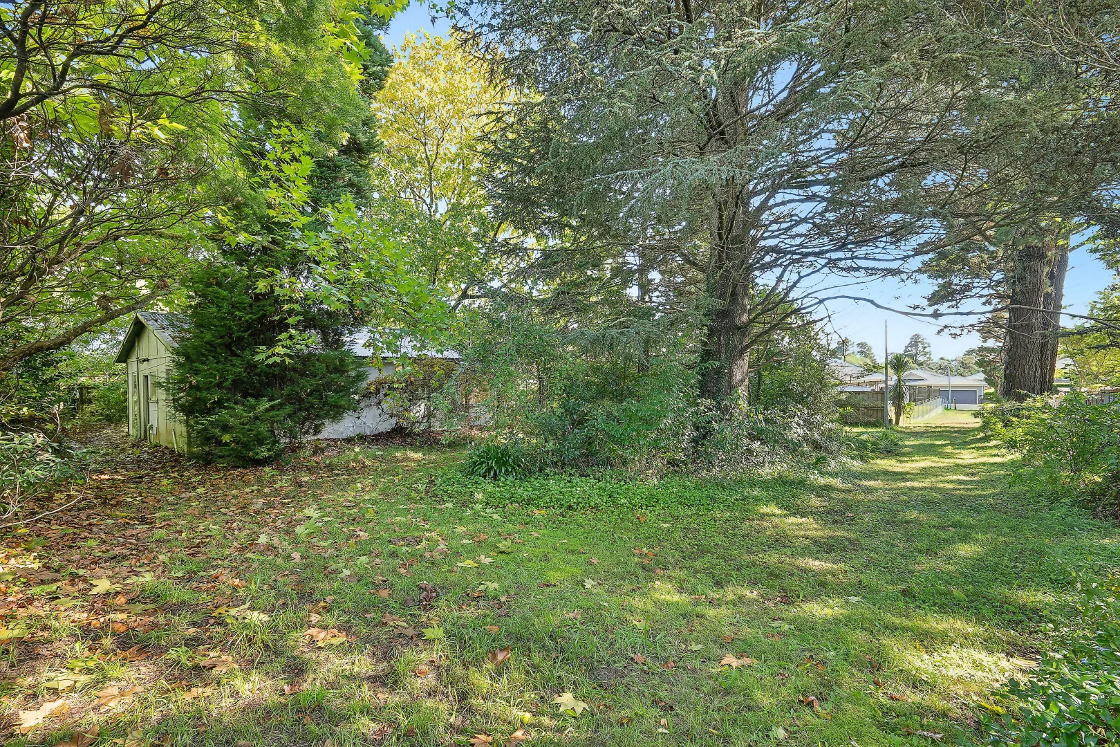 Additional image 5 of 66 Waratah Road, Wentworth Falls NSW 2782