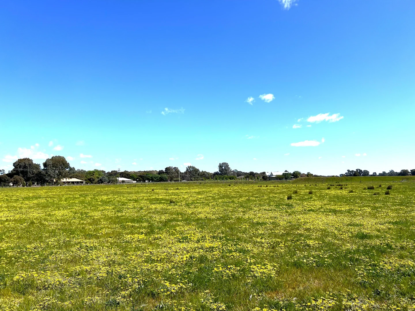 Additional image 11 of 1 Dennis Road, Benalla VIC 3672