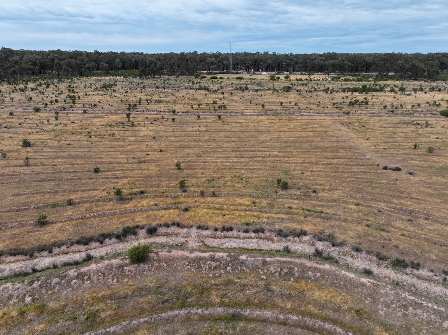 Additional image 10 of 'The Backwoods' 1054 Burley Griffin Way, Temora NSW 2666