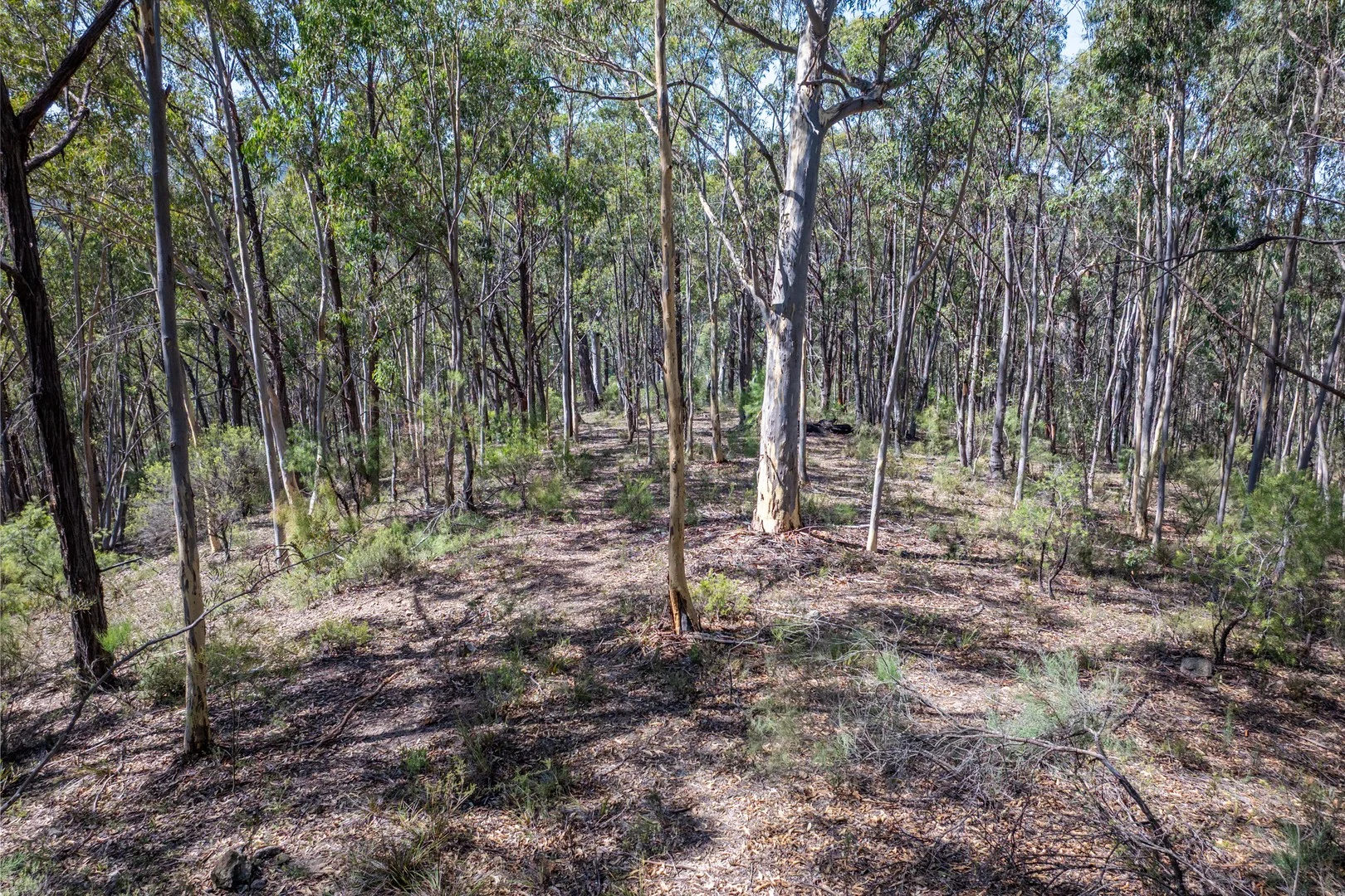 Lot 3422 Blackheath Creek Road, Kanimbla NSW 2790