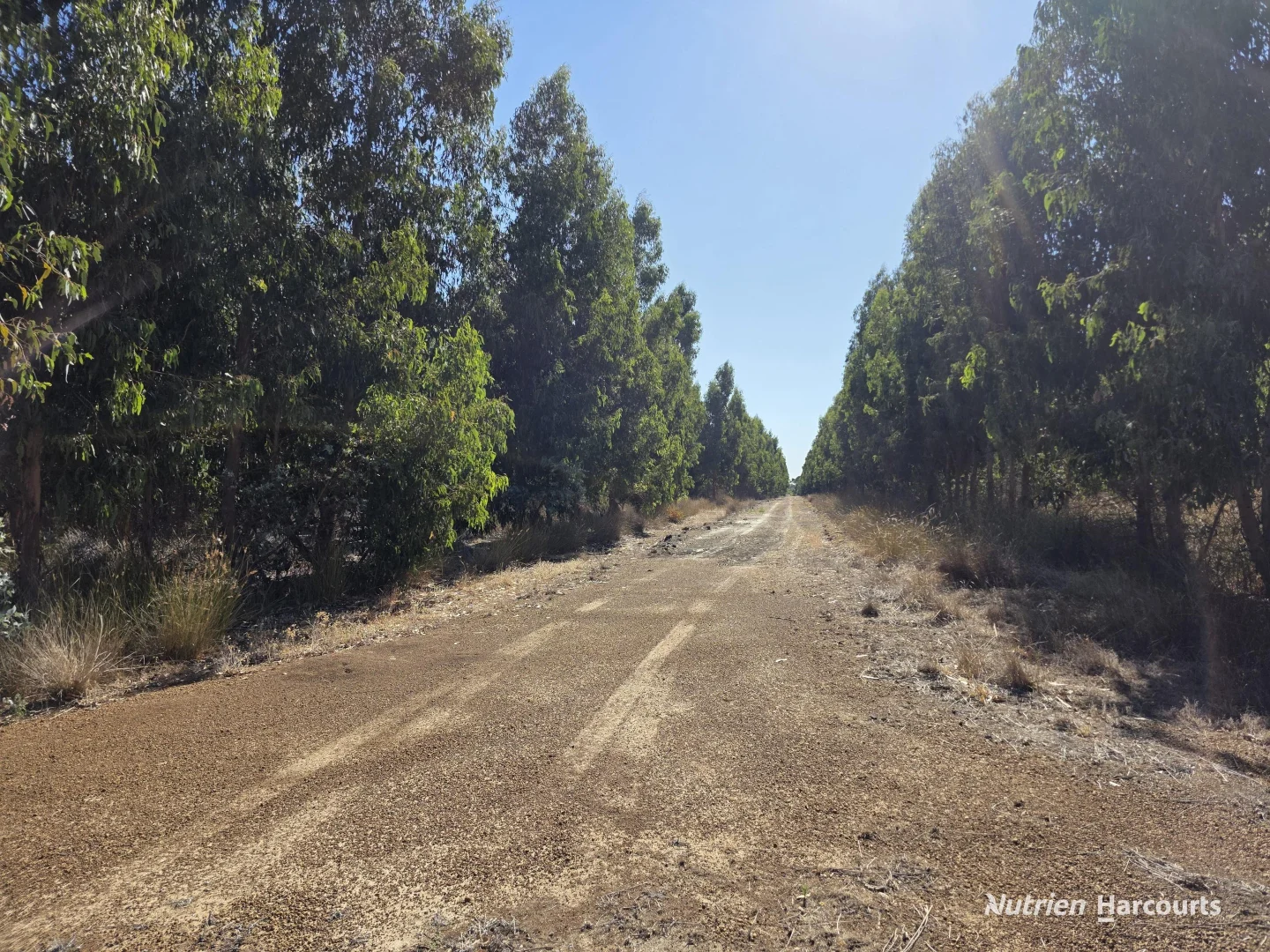 Additional image 11 of 1578 Yellanup Road, Narrikup WA 6326