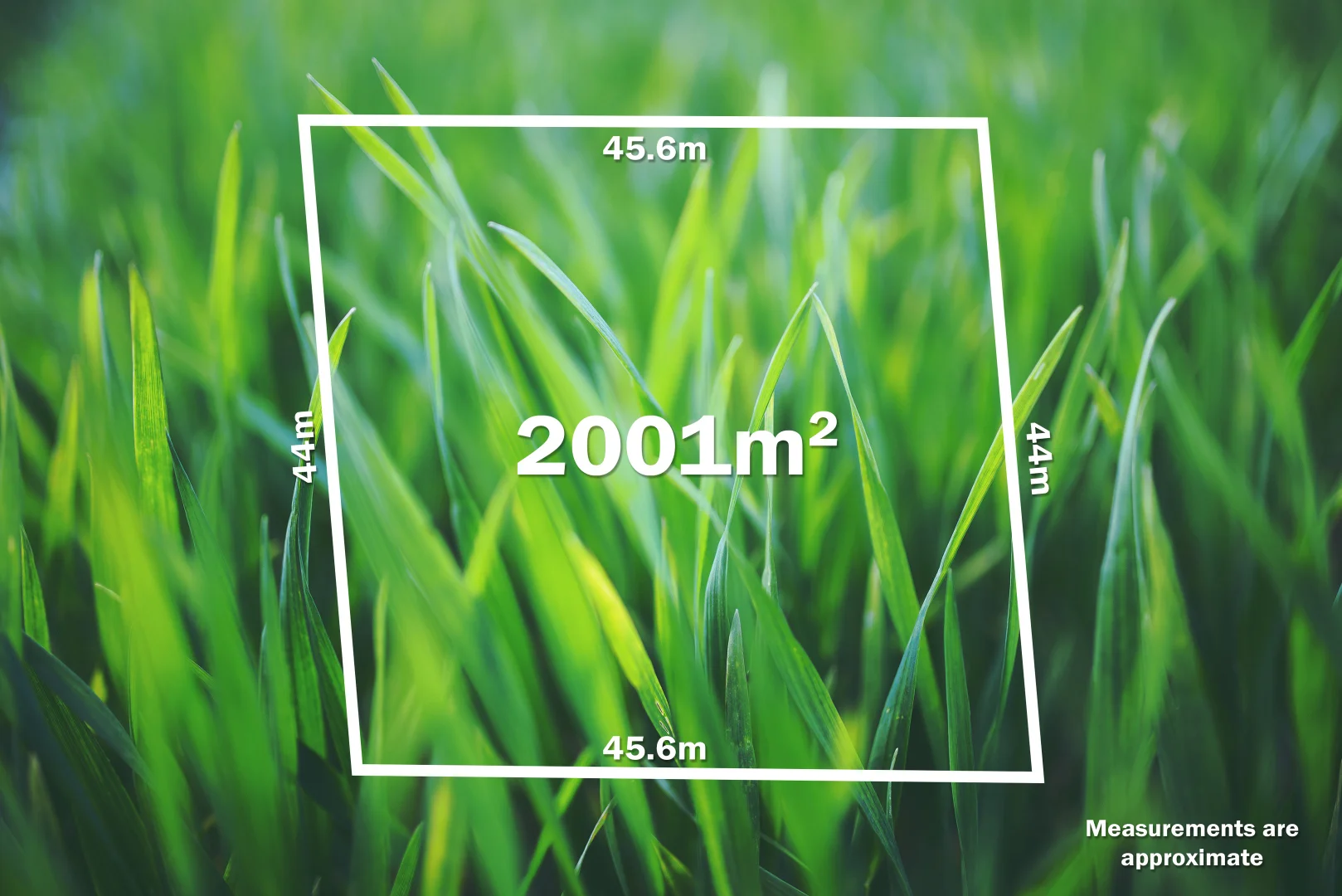 Additional image 7 of 397 Kingston Road, Kingston VIC 3364