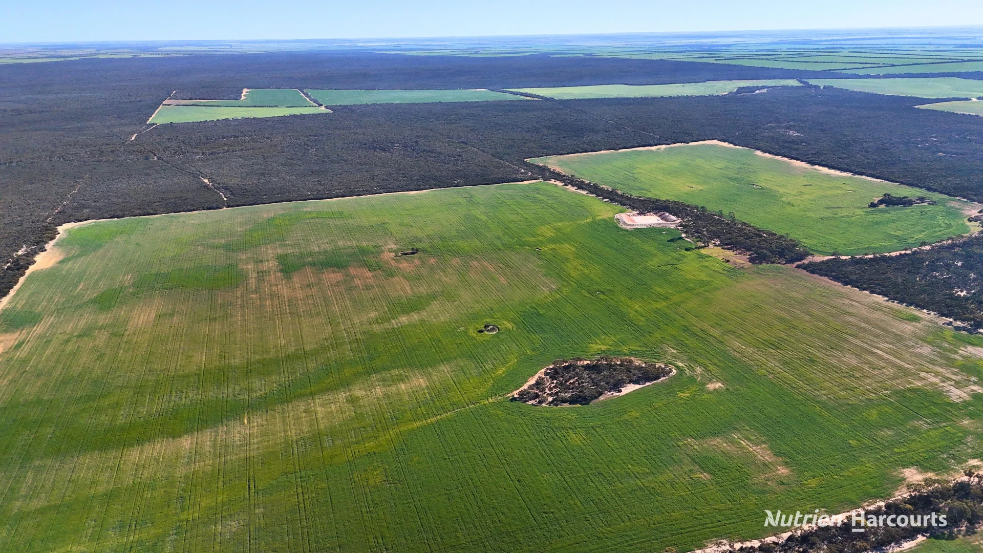 Additional image 11 of 1650 Dulyalbin Road, South Bodallin WA 6424