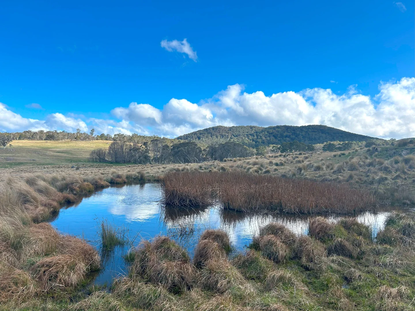 Additional image 8 of 11 & 128 Stoney Ridge Road, Braidwood NSW 2622