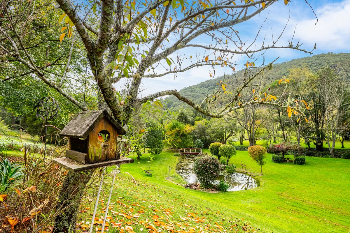 Additional image 5 of 111 Bunning Creek Road, Yarramalong NSW 2259