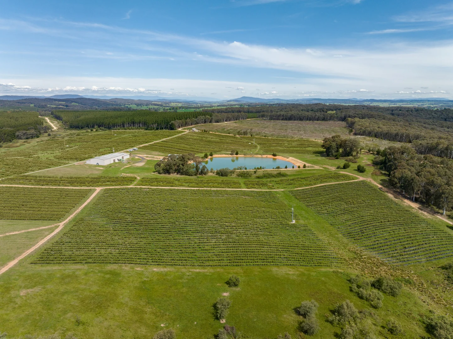 Additional image 7 of Courabyra NSW 2653