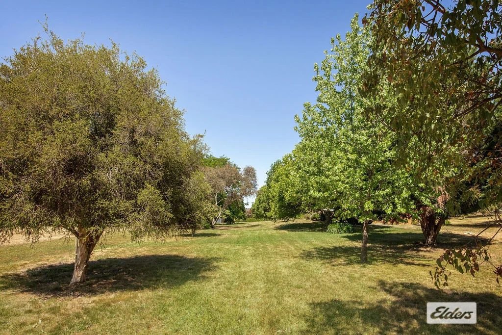 Additional image 18 of 14 Edward Street, Woomargama NSW 2644