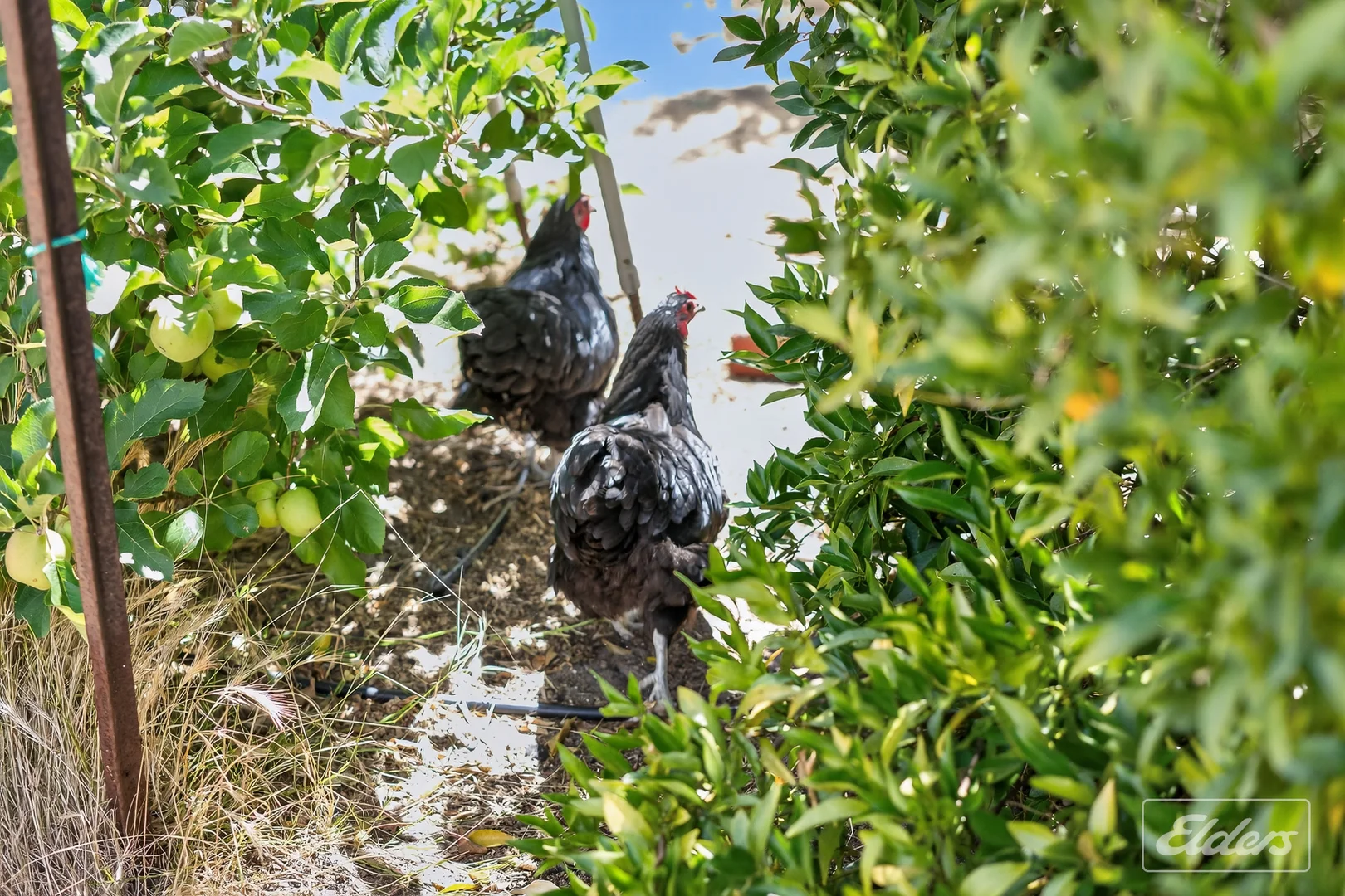 Additional image 44 of 839 Signal Flat Road, Finniss SA 5255
