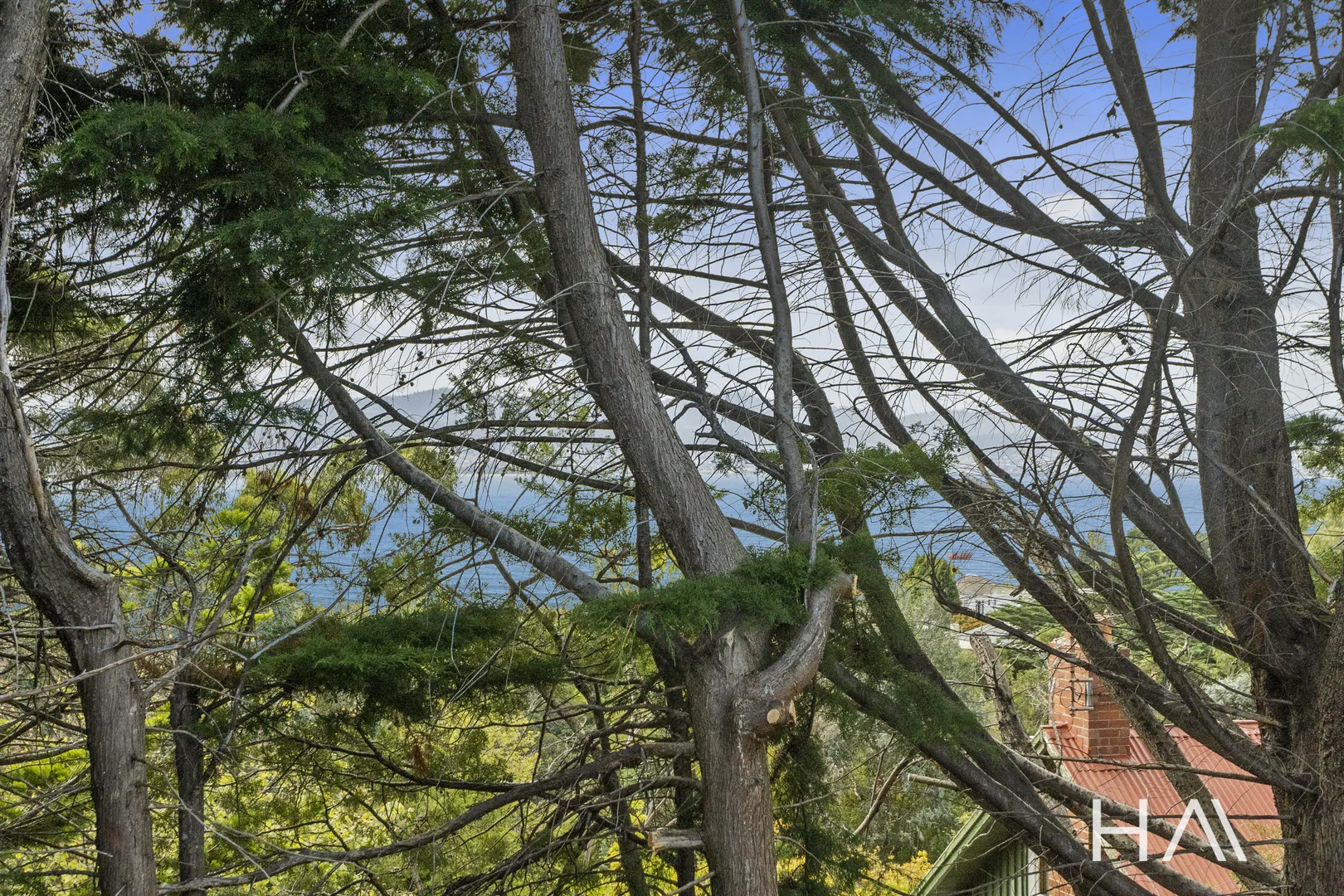 Additional image 16 of 4/245 Churchill Avenue, Sandy Bay TAS 7005