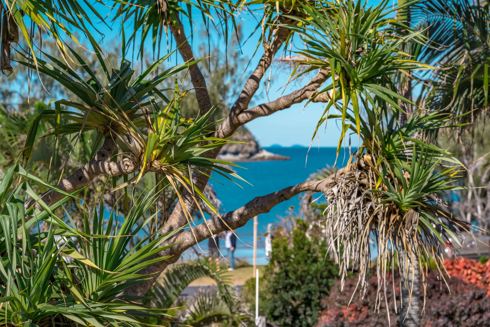 Additional image 19 of 218/34-38 Vin E Jones Memorial Drive, Rosslyn QLD 4703