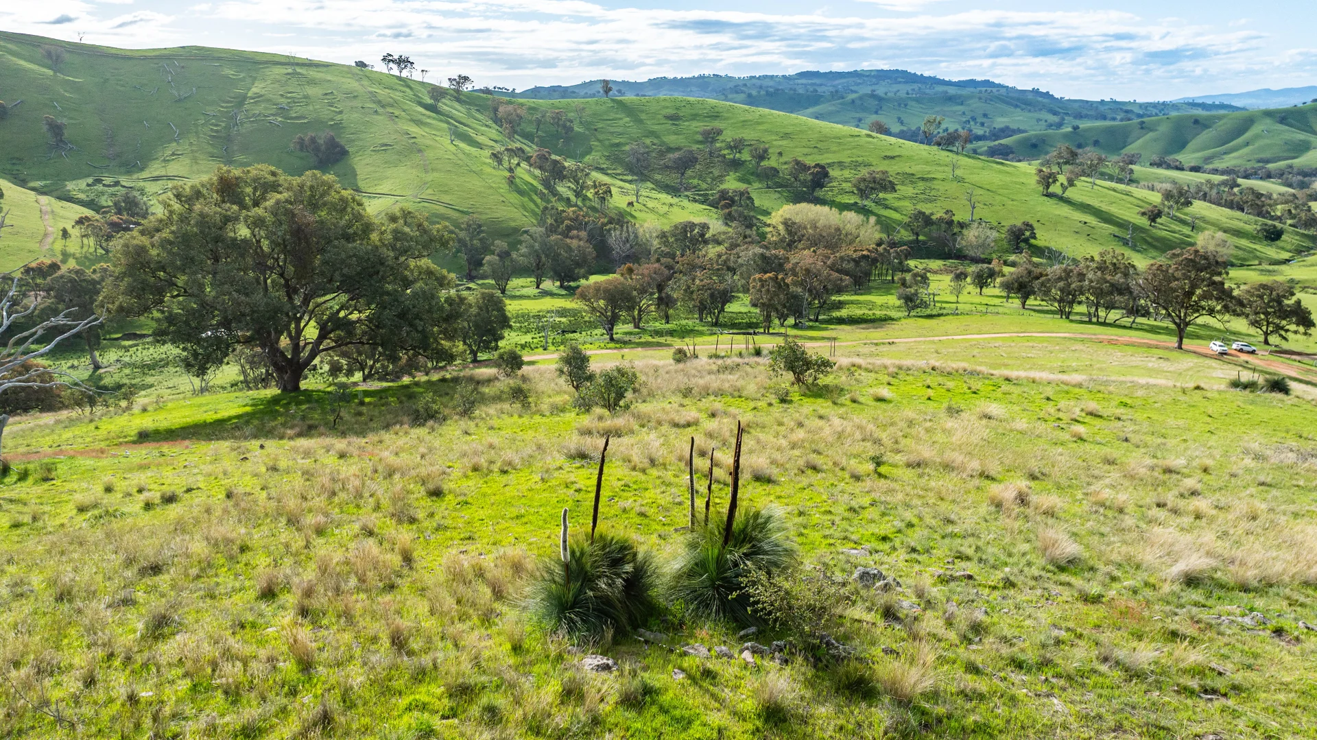 Additional image 13 of . Packers Road, Bethanga VIC 3691