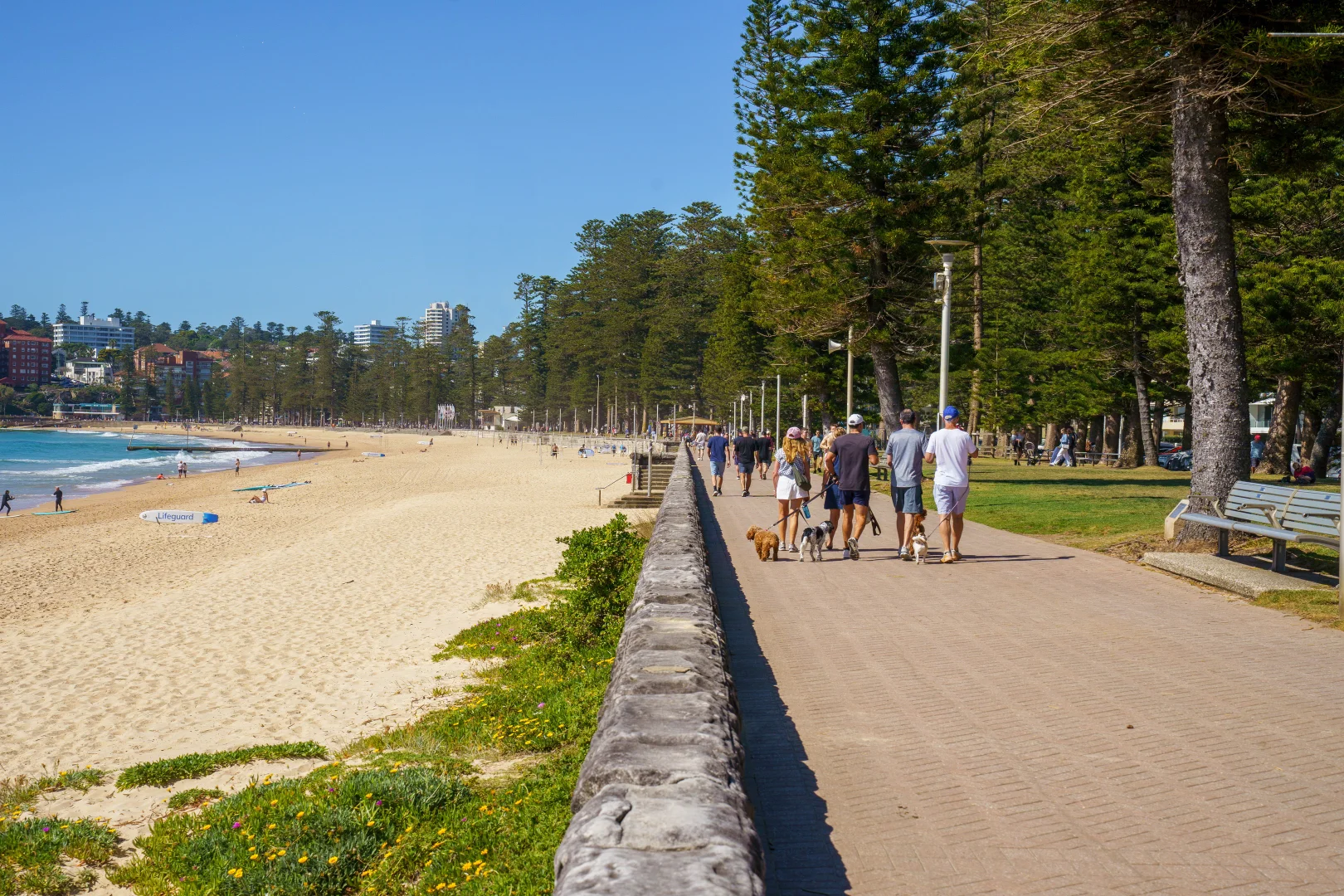 Additional image 4 of 145 North Steyne, Manly NSW 2095