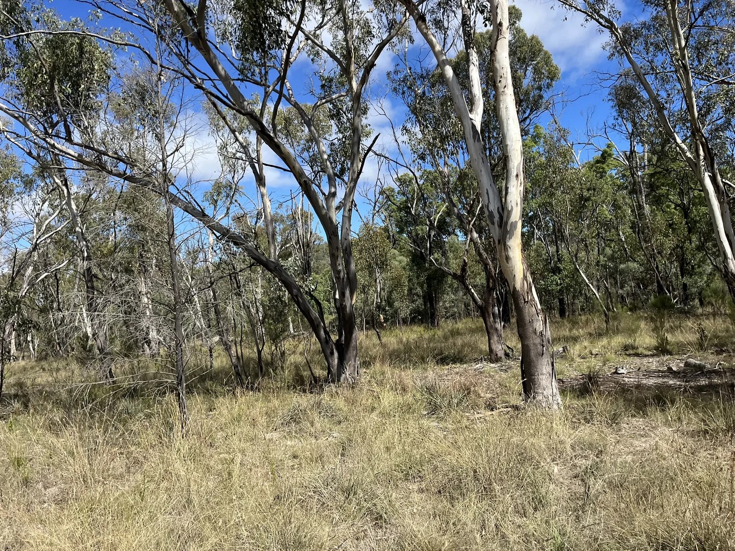 Additional image 15 of Bald Rock Bendemeer Road, Kingstown NSW 2358