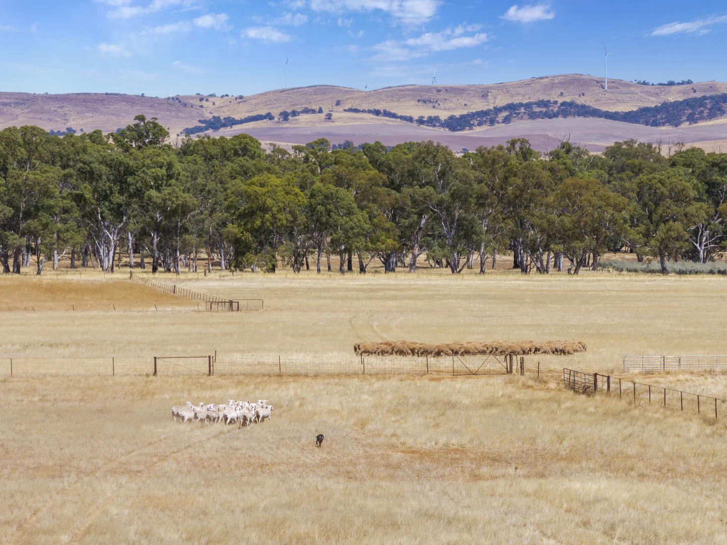 Additional image 2 of 'Klingers' Frost Road, Mannanarie SA 5422