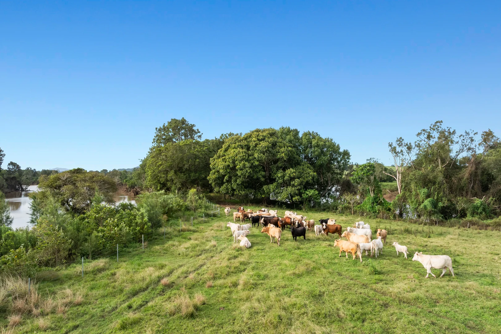 Additional image 21 of 279 River Bank Road, Wyrallah NSW 2480