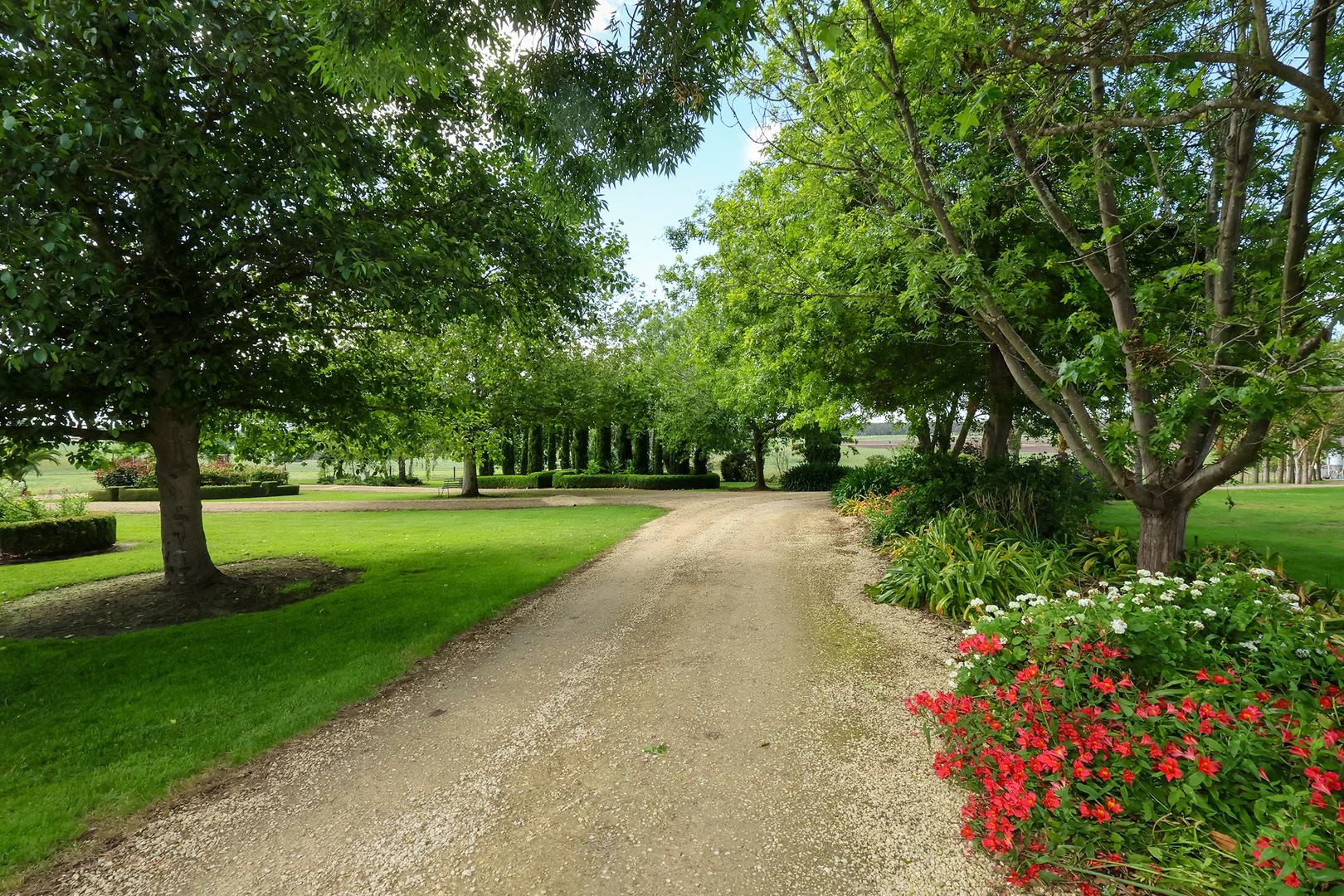 Additional image 6 of 335 Rollos Road, Panmure VIC 3265