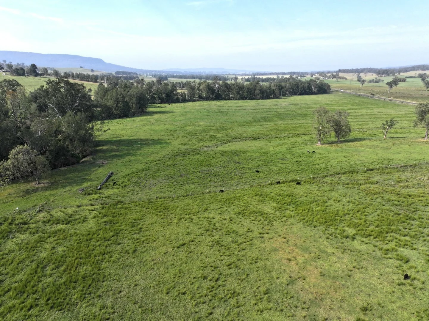 Additional image 6 of 15754 Clarence Way, Bonalbo NSW 2469