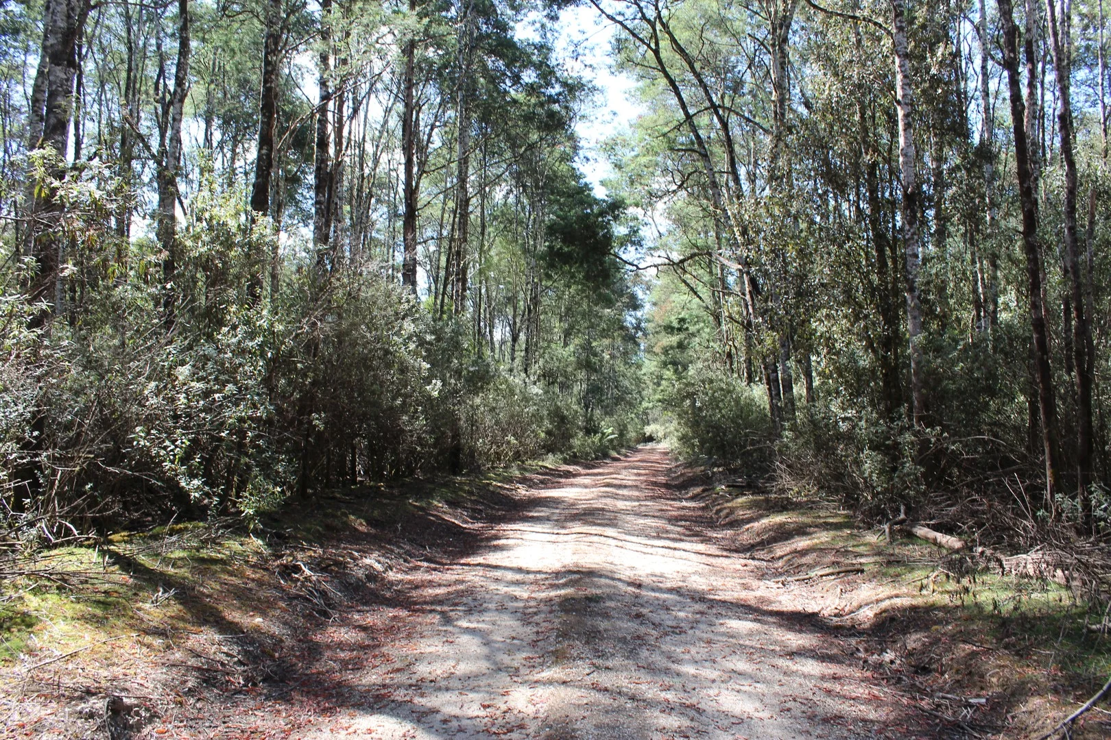 188 Bassett's Road, Calder TAS 7325