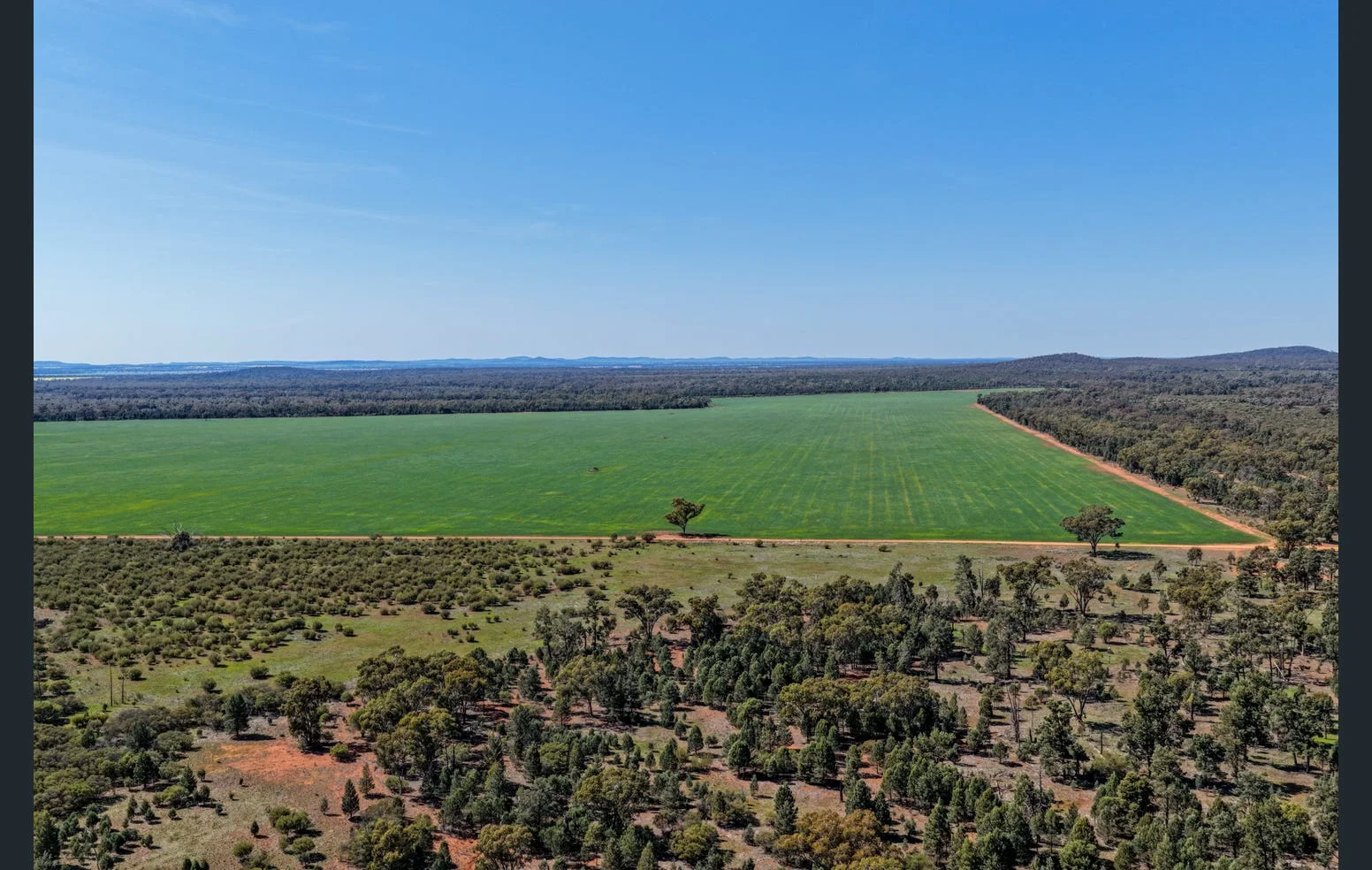 Additional image 7 of 'Black Range' 2880 Tallebung Road, Eremerang NSW 2877