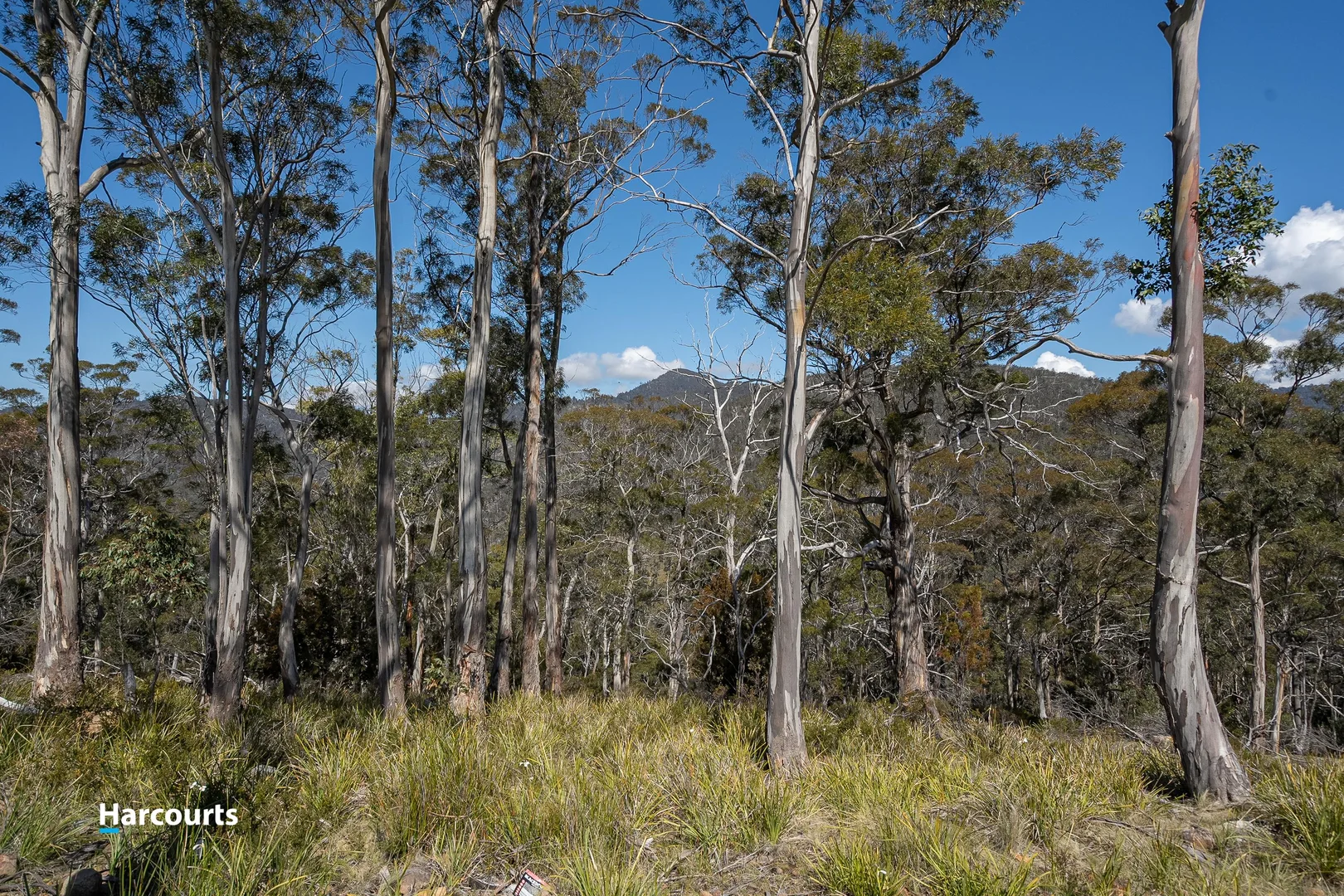 Additional image 8 of 54 Bull Oak Way, Grove TAS 7109