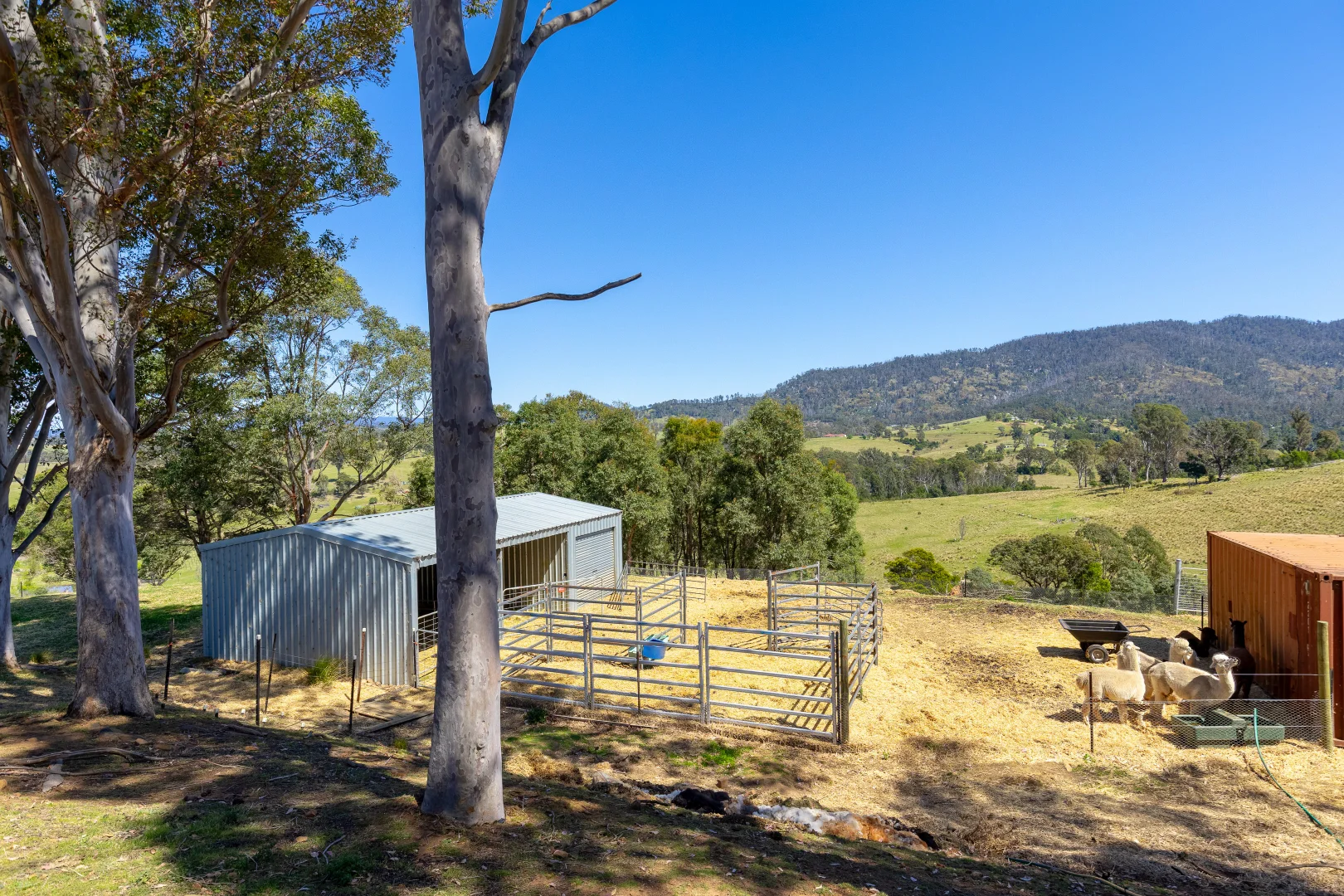 Additional image 17 of 49 Quinlans Road, Verona NSW 2550