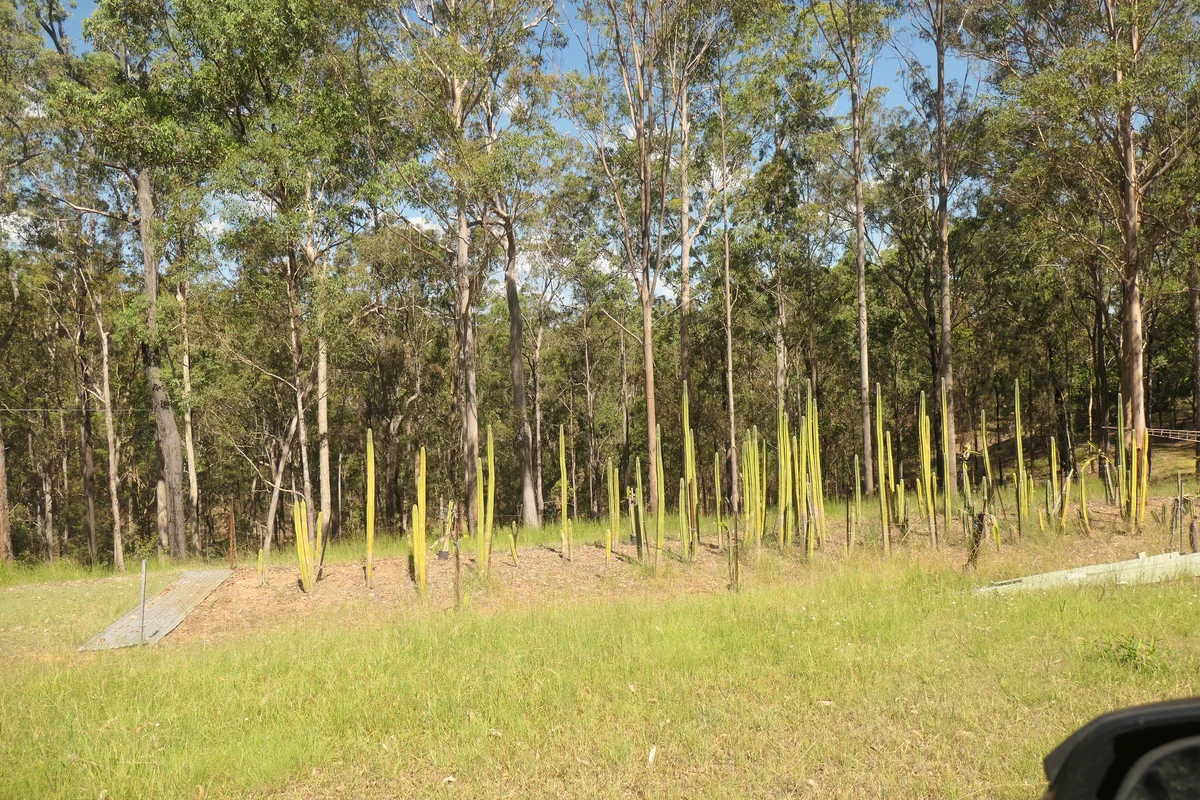 Additional image 29 of Bulldog NSW 2469