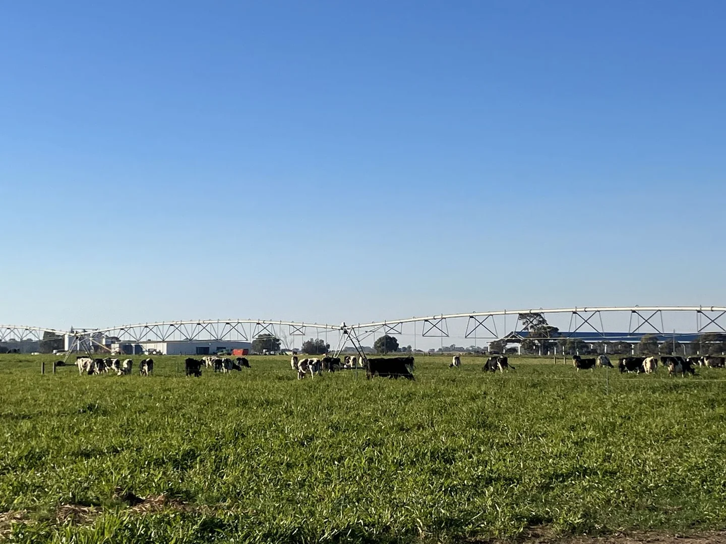 Additional image 4 of 5104B Murray Valley Highway, Castle Donnington VIC 3585