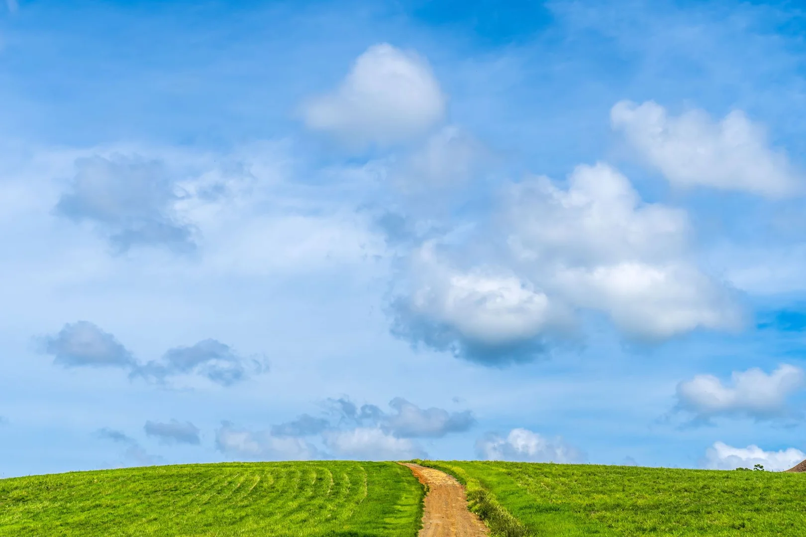 Additional image 16 of 323 Alcorn Road, Knockrow NSW 2479