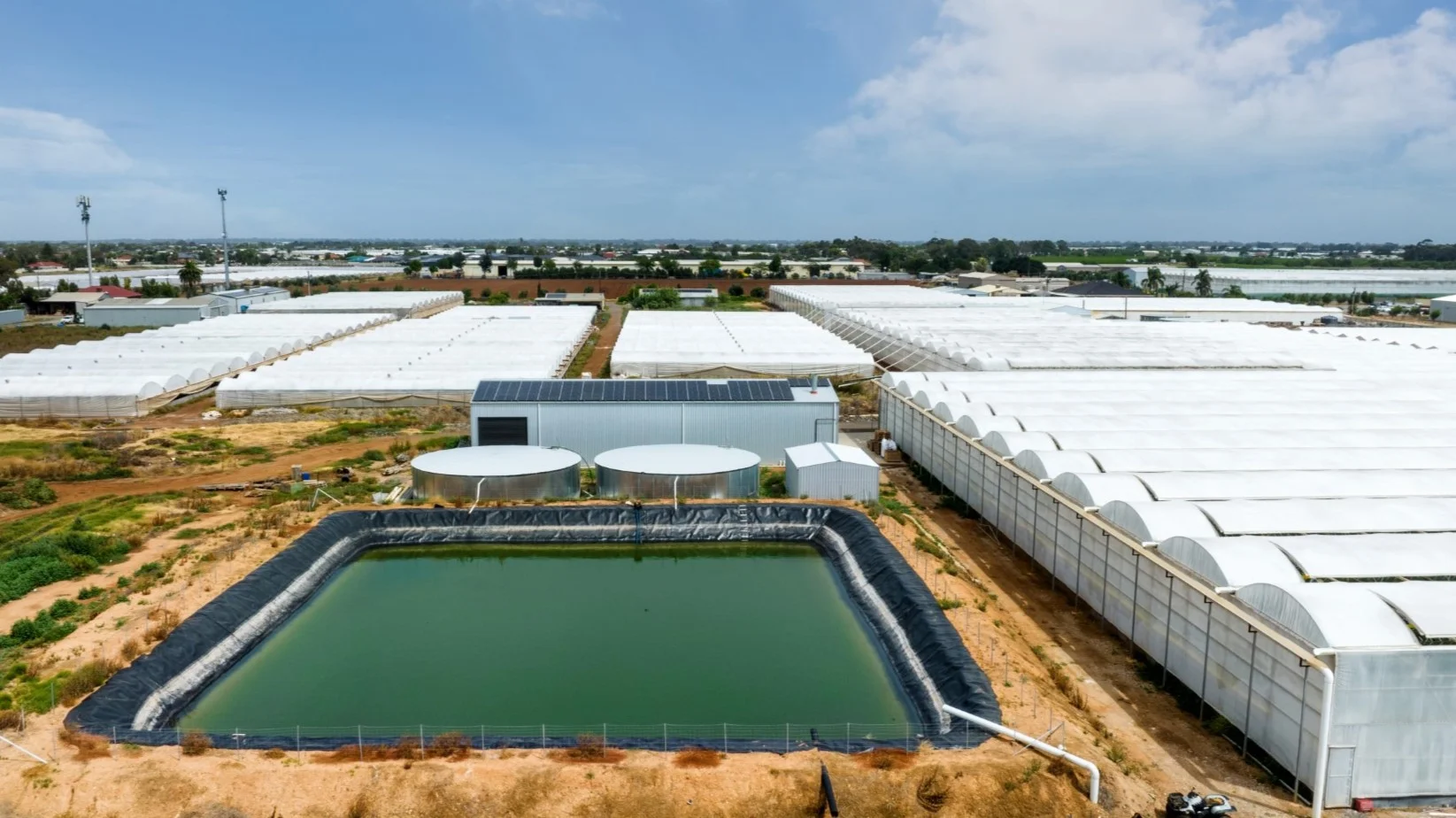 Additional image 18 of 136 Penfield Road, Virginia SA 5120