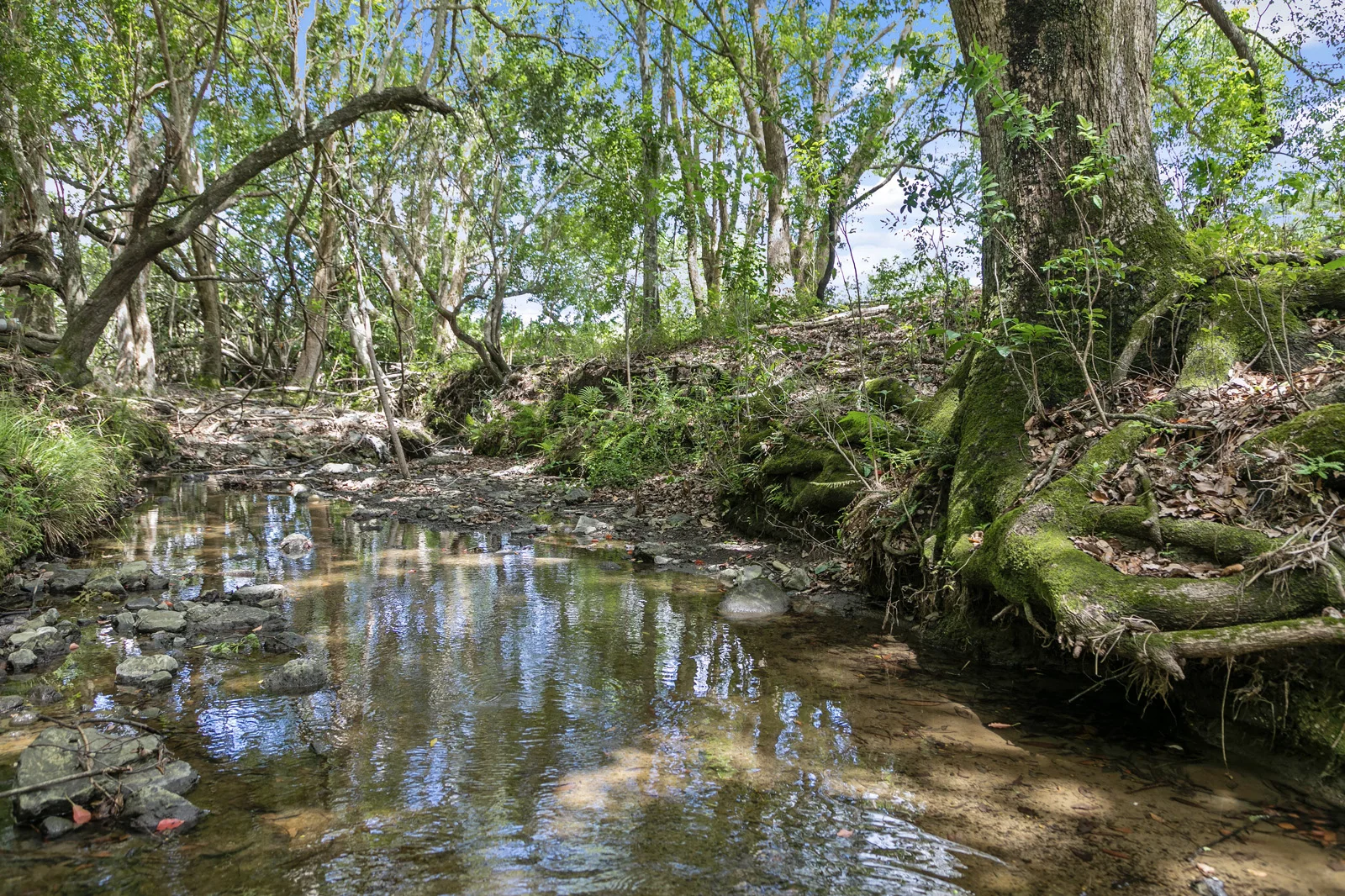 Additional image 28 of 53 Yvonne Street, Highworth QLD 4560