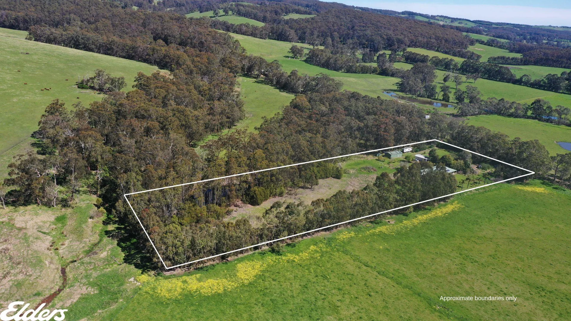 Additional image 4 of 59 Harraps Road, Binginwarri VIC 3966