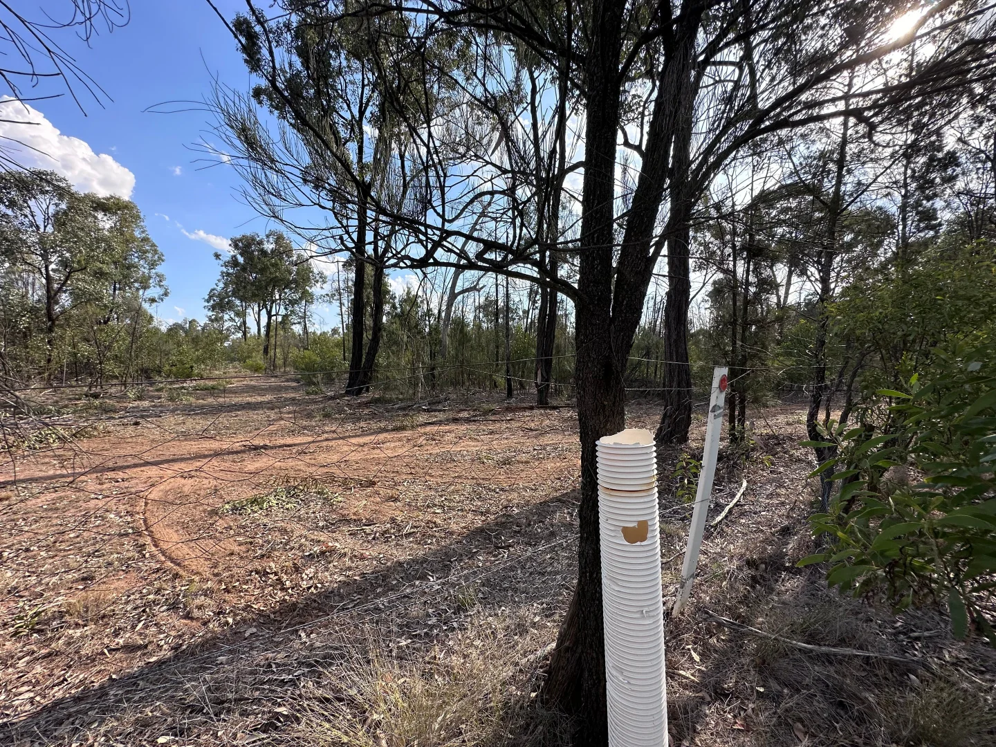 Additional image 26 of 15778 Surat Development Road, Goranba QLD 4421